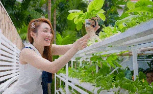 Luxury and Nature: A Tour of Chi Bao’s Million-Dollar Green Villa - image 8