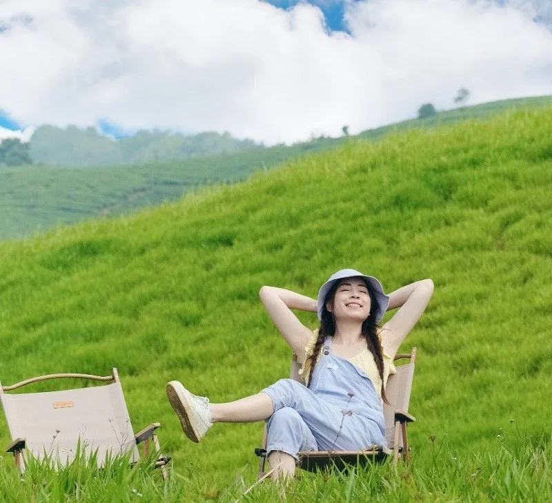 Experience the Enchanting Beauty of Doi Sim Suoi Bon’s Purple Flower Season