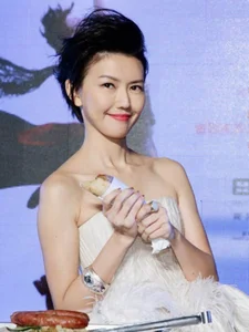 Stefanie Sun: The Mandopop Queen and Xiao Zhan's Ultimate Muse - image 1