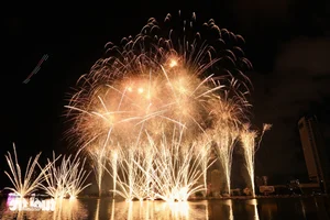 Da Nang International Fireworks Festival Opens with Spectacular Displays - image 5