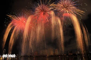 Da Nang International Fireworks Festival Opens with Spectacular Displays - image 6