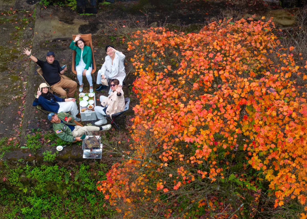 Experience the Magical Maple Leaf Season at Bach Ma National Park, Vietnam