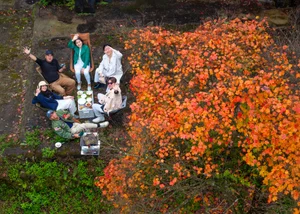 Experience the Magical Maple Leaf Season at Bach Ma National Park, Vietnam - image 0