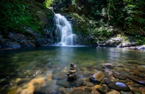 Experience the Magical Maple Leaf Season at Bach Ma National Park, Vietnam - image 6