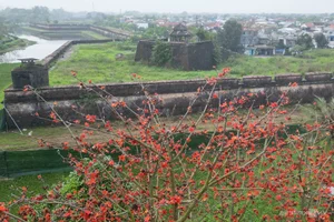 Capturing the Vibrant Red Silk Cotton Flowers Along the Huong River in Hue - image 0