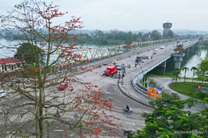 Capturing the Vibrant Red Silk Cotton Flowers Along the Huong River in Hue - image 4
