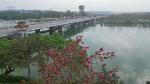 Capturing the Vibrant Red Silk Cotton Flowers Along the Huong River in Hue - image 10