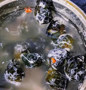 Authentic Vietnamese Snail Rice Noodle Soup Recipe: A Step-by-Step Guide - image 3