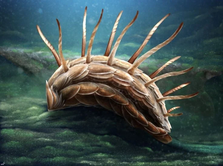 Bizarre Wonders of the Cambrian Explosion: Exploring the Alien-Like Ancient Marine Creatures That Redefined Evolutionary History