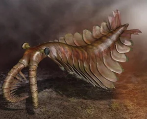 Bizarre Wonders of the Cambrian Explosion: Exploring the Alien-Like Ancient Marine Creatures That Redefined Evolutionary History - image 7