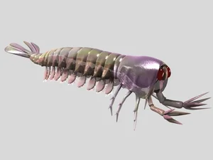 Bizarre Wonders of the Cambrian Explosion: Exploring the Alien-Like Ancient Marine Creatures That Redefined Evolutionary History - image 4