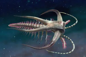 Bizarre Wonders of the Cambrian Explosion: Exploring the Alien-Like Ancient Marine Creatures That Redefined Evolutionary History - image 5