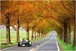 Breathtaking Scenic Drives: The Most Beautiful Roads in the World - image 2