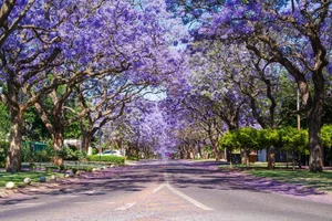 Breathtaking Scenic Drives: The Most Beautiful Roads in the World - image 9