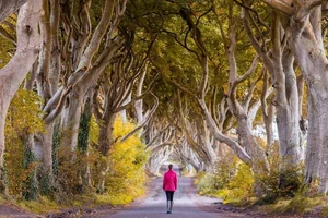 Breathtaking Scenic Drives: The Most Beautiful Roads in the World - image 8