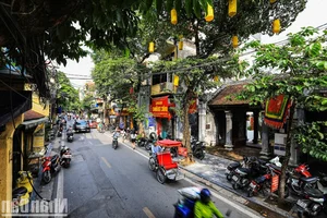 The Roots of Beauty: Exploring the Upbringing of Miss Phan Phuong Oanh - image 3