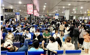 Tan Son Nhat Airport Overwhelmed by Thousands of Travelers Heading Home for Tet Holiday - image 3