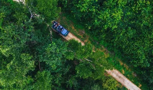 Cat Tien National Park Travel Guide 2024: Nature and Wildlife Exploration - image 1