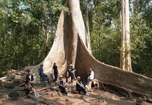 Cat Tien National Park Travel Guide 2024: Nature and Wildlife Exploration - image 2