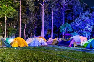 Cat Tien National Park Travel Guide 2024: Nature and Wildlife Exploration - image 5