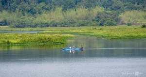 Cat Tien National Park Travel Guide 2024: Nature and Wildlife Exploration - image 0