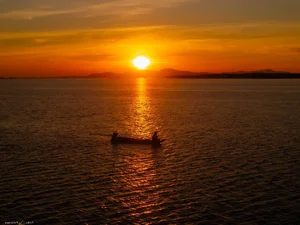 Experience the Magical Sunrise at Dau Tieng Lake: A Serene Nature Escape Near Ho Chi Minh City - image 8