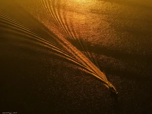 Experience the Magical Sunrise at Dau Tieng Lake: A Serene Nature Escape Near Ho Chi Minh City - image 2