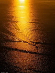 Experience the Magical Sunrise at Dau Tieng Lake: A Serene Nature Escape Near Ho Chi Minh City - image 0