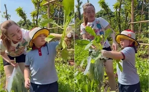 A Lush Green Oasis: Inside the Beautiful Garden of Actor Chi Bao and His Wife - image 5