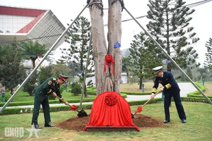Official Welcoming Ceremony for Chinese Defense Minister Dong Jun in Vietnam - image 6