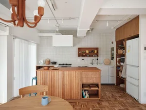 Smart Living in Tokyo: Reorganizing a 75sqm Apartment for Maximum Space - image 13