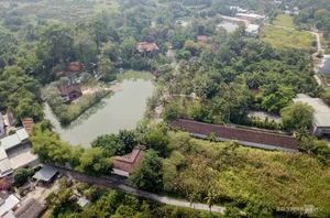 Ao Dai Museum Crowded with Visitors Capturing Beautiful Tet Holiday Photos in Ho Chi Minh City - image 11
