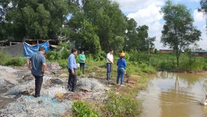 Shocking News: Investigation Details Emerge in Ton Duc Thang Bridge Child Incident - image 9