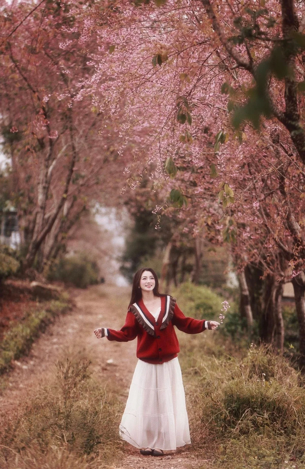 Lost in a Pink Paradise: Moc Chau's Enchanting Cherry Blossom Road Awaits