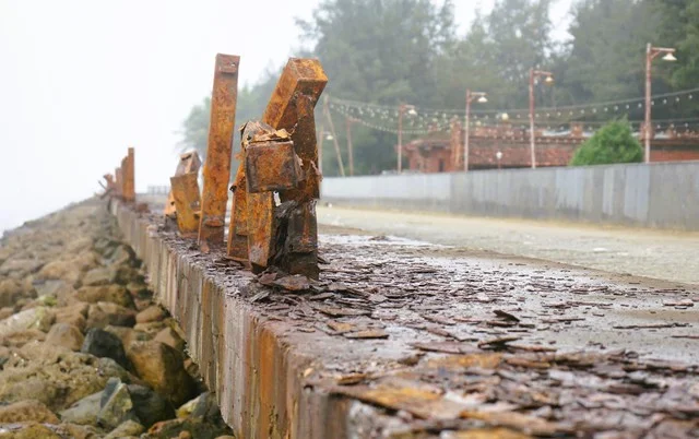 Addressing Pollution Issues at Thanh Hoa's Beautiful Beaches