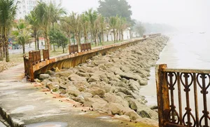 Addressing Pollution Issues at Thanh Hoa's Beautiful Beaches - image 9