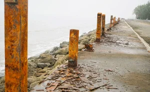 Addressing Pollution Issues at Thanh Hoa's Beautiful Beaches - image 1