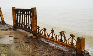 Addressing Pollution Issues at Thanh Hoa's Beautiful Beaches - image 11