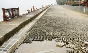 Addressing Pollution Issues at Thanh Hoa's Beautiful Beaches - image 7