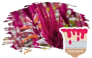 8 Rare and Unusual Colors in Daily Life You Might Not Know - image 4