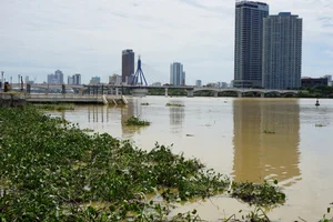 Da Nang Beaches Face Massive Cleanup After 10 Tons of Trash Wash Ashore - image 2