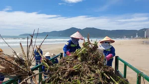 Da Nang Beaches Face Massive Cleanup After 10 Tons of Trash Wash Ashore - image 1