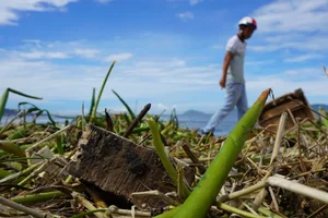 Da Nang Beaches Face Massive Cleanup After 10 Tons of Trash Wash Ashore - image 0