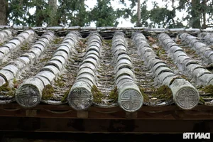 Discovering the Historic Hmong King Mansion in the Rocky Highlands of Ha Giang - image 25