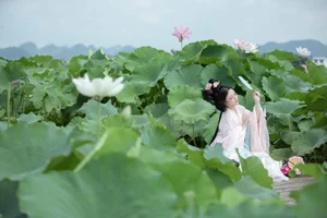 Dynamic Portraiture: YiTuYu Art Language Vol.7597 Featuring Model Jin Zou Ba - image 0