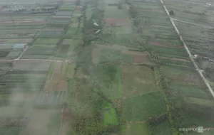 Khám phá Minh Châu: Xã đảo duy nhất giữa lòng Thủ đô Hà Nội - image 7