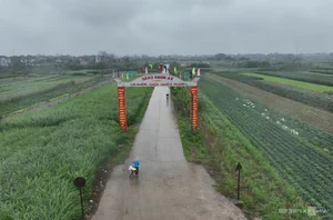 Khám phá Minh Châu: Xã đảo duy nhất giữa lòng Thủ đô Hà Nội - image 0