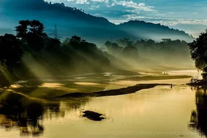 Explore Kaziranga: The Majestic Home of Asia's Big Five and Wild Beauty - image 5