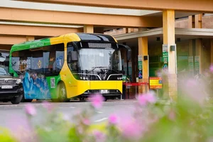 Sustainable Travel Guide to Cat Ba Island with Green Transport Solutions - image 1