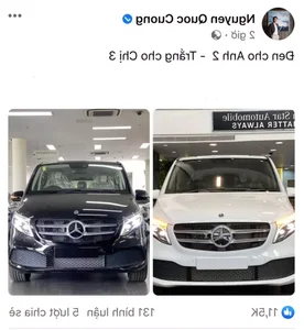Vietnamese Celebrities Go Big: The Most Extravagant Gifts for Their Children - image 2
